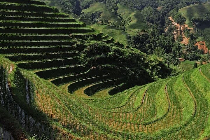 Two-Day Private Longji Rice Terrace Escape: Ping'an & Dazhai Villages