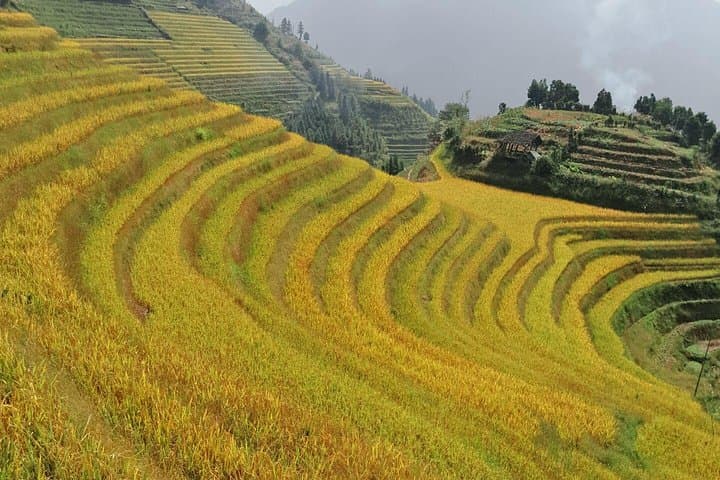 Longsheng Hot Springs & Longji Rice Terraces: 2-Day Private Soak and Hike photo 3