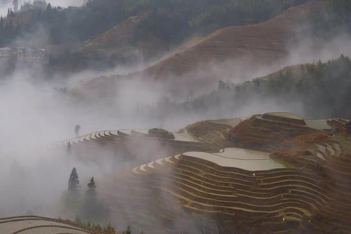 Short Li River Cruise and Longji Rice Terraces Day Tour from Guilin photo 2