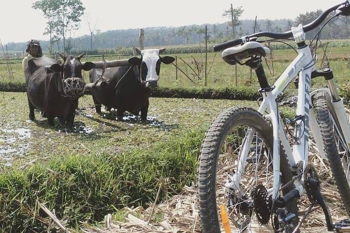 Malang Cycling Village Tour: 6-Hour Rural Ride Through East Java photo 2