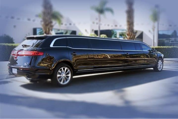 Cruise the Las Vegas Strip: 1.5-Hour Limo Tour with Champagne & Pro Photos photo 4