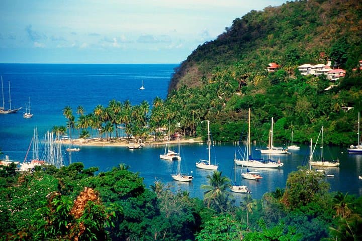 St Lucia Shore Excursion: Half-Day Land & Sea Tour to Soufrière, Pitons & Snorkeling photo 2