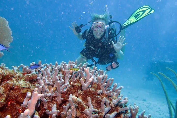 2-Tank Discover Scuba Diving in Fajardo, Puerto Rico