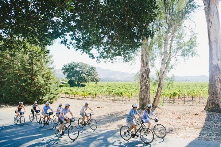 Full-Day Napa Valley E‑Bike Winery Tour with Bouchon Picnic photo 2