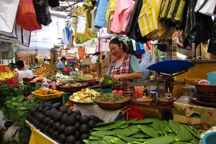 Higüey Half-Day Safari: Basilica, Museum & Local Life from Punta Cana photo 2