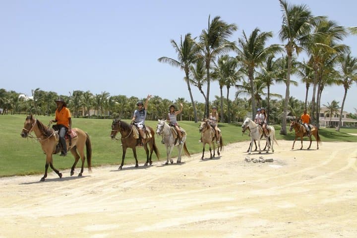 Uvero Alto Half-Day Horseback Riding — Small-Group Beach Tour from Punta Cana photo 2