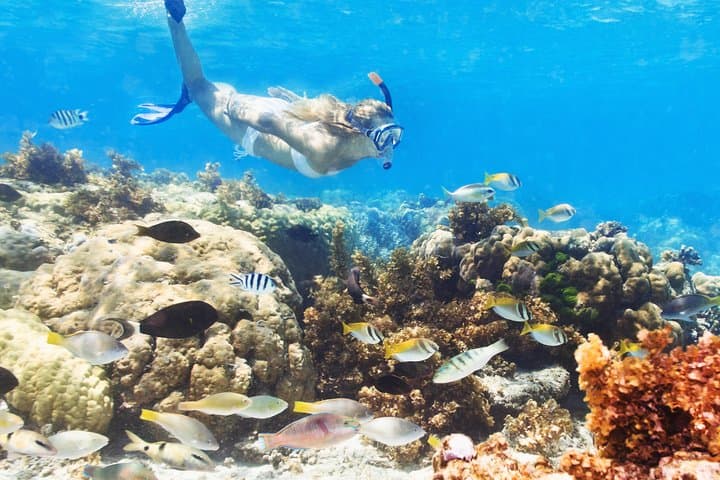 Sky and Sea: Punta Cana Snuba, Parasailing & Catamaran Party Pack
