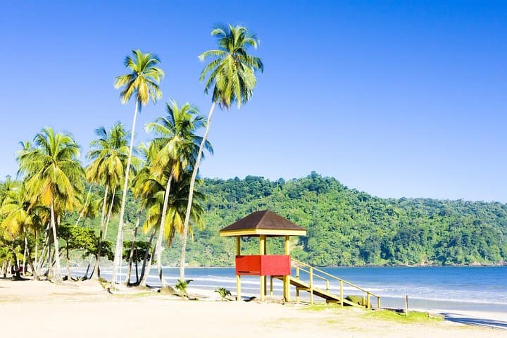Trinidad Highlights and Maracas Beach Scenic Drive