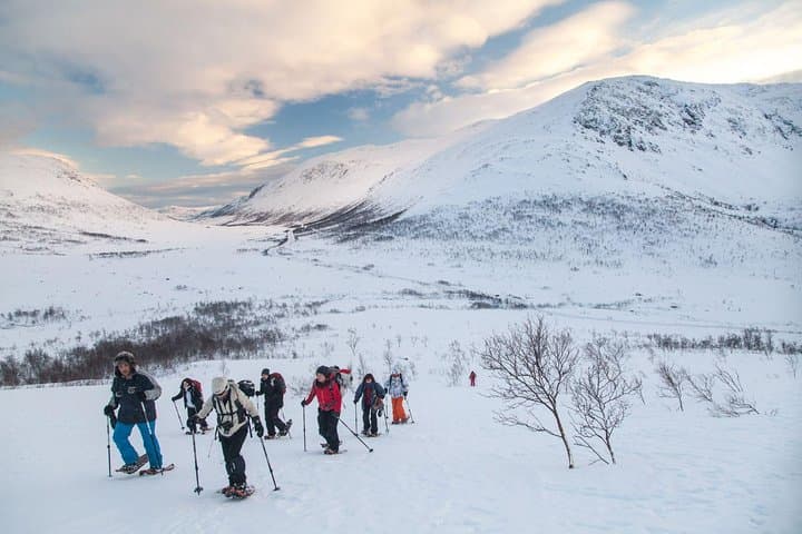 Kvaløya Snowshoe Hike from Tromsø — 400m Summit & Fjord Views