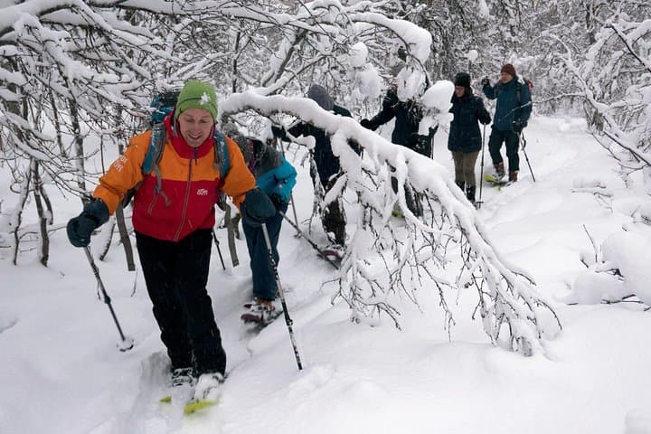 Guided Snowshoe Walk on Tromsøya Island — 2‑Hour Tromsø Winter Trek