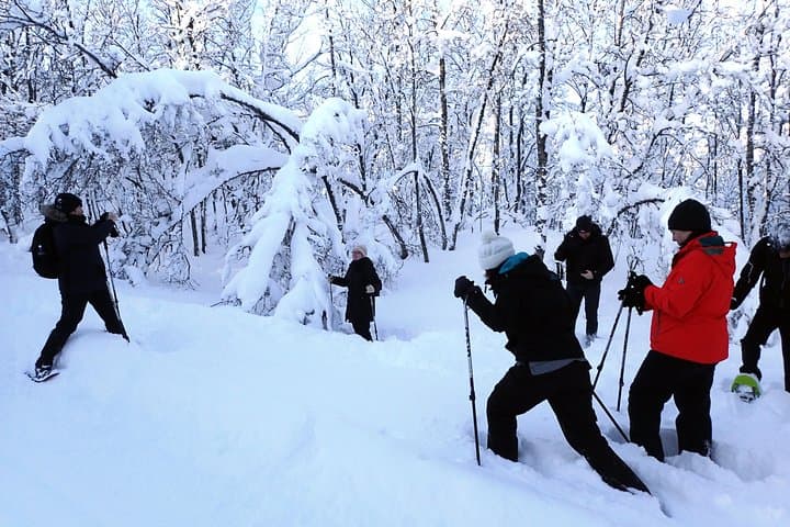 Guided Snowshoe Walk on Tromsøya Island — 2‑Hour Tromsø Winter Trek photo 2