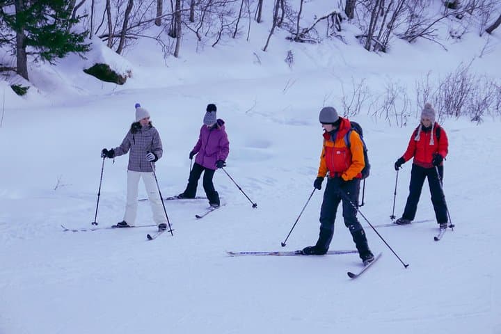 Learn Cross-Country Skiing in Tromsø: Beginner Lesson on Tromsøya photo 2