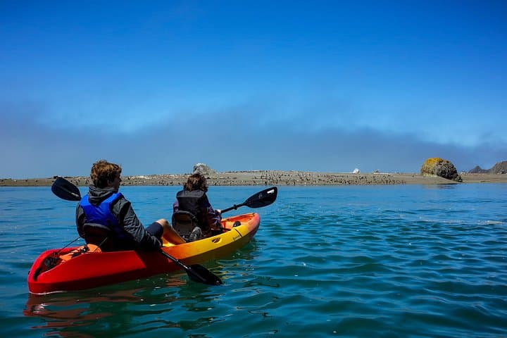 Russian River Kayak Tour at Sonoma Coast: Jenner Kayaking & Wildlife photo 2