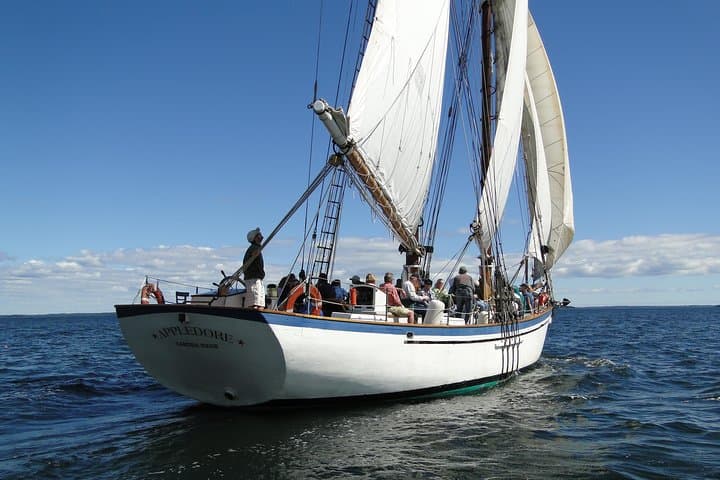 Windjammer Classic Day Sail on the Appledore II — Camden, Maine photo 4