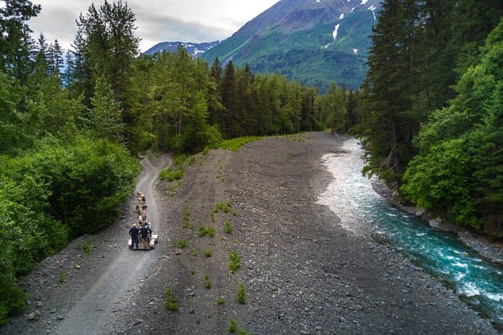 Explore Seward and Kenai Fjords National Park: A Guided Adventure with Wildlife and Glacier Views