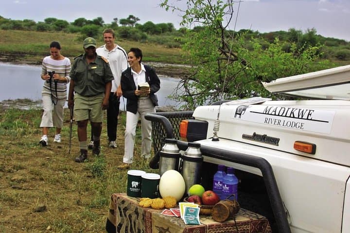 4-Day Madikwe River Lodge Safari from Johannesburg — Big Five Game Drives & Riverine Bush