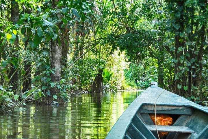 3-Day Tambopata Jungle Adventure: Lake Sandoval, Canopy & Clay Licks photo 2