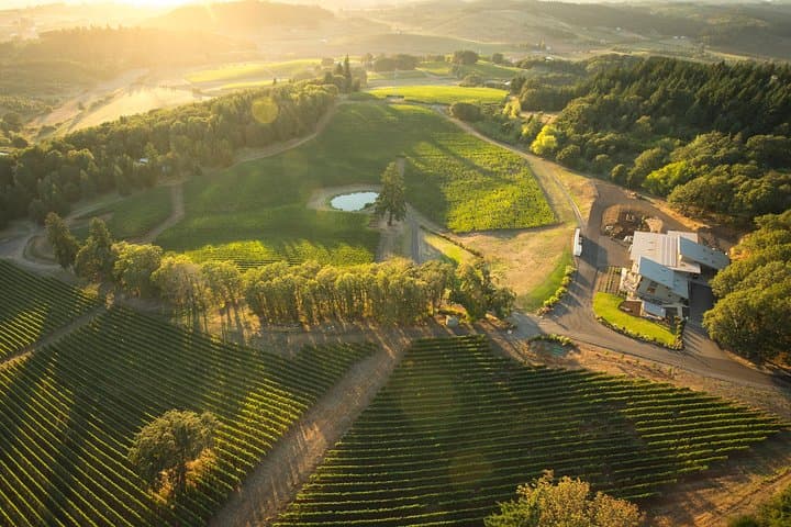Helicopter Wine Tour in Willamette Valley: Tour DeVine by Heli