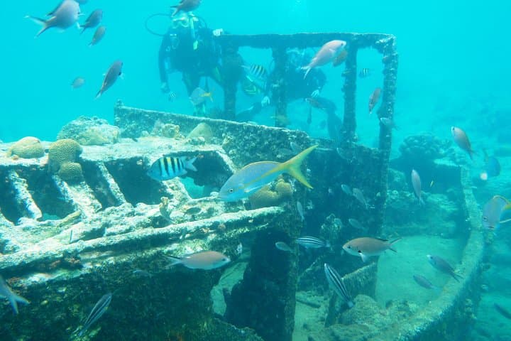 Discover Diving in Curaçao: Beginner Open-Water Experience at Caracasbaai