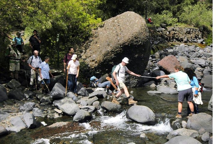 Exploring Caldera de Taburiente: Guided High-Altitude Walk on La Palma photo 6