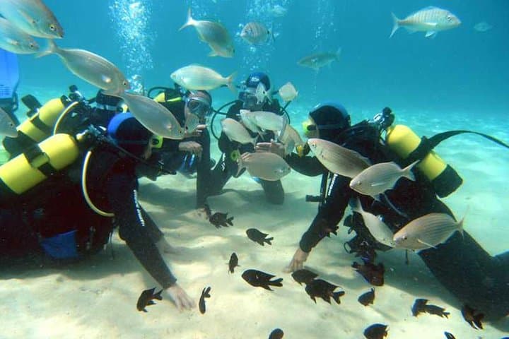 Scuba Diving Baptism in Costa Teguise — Beginner Dives on Lanzarote's Shallow Reefs photo 2
