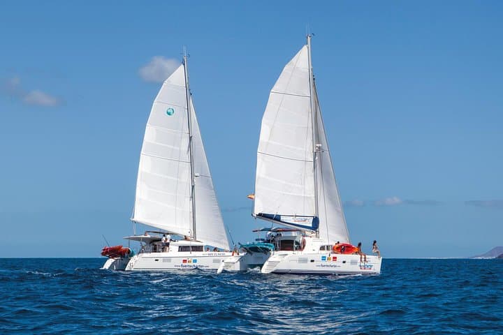 Isla de Lobos Catamaran: 4-Hour Boat Trip from Corralejo with Snorkeling & Paella photo 2