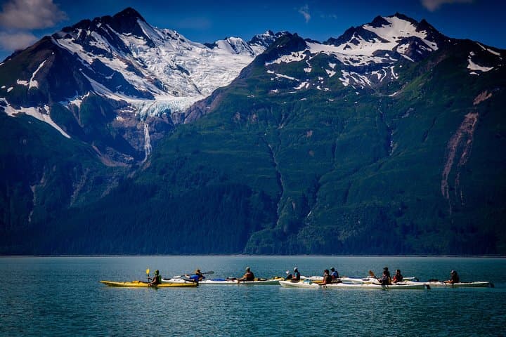 Inside Passage Sea Kayaking in Haines: Guided Ocean Kayak Tour with Beach Picnic