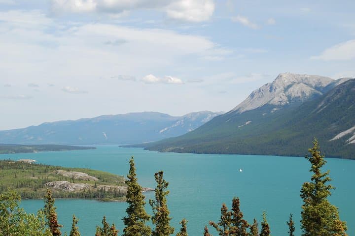 Yukon Extended Summit Drive: Day Trip from Skagway to Carcross & Summit Lake photo 3