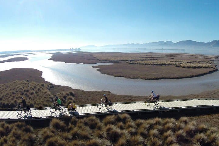Nelson to Mapua Cycling: Self-Guided Great Taste Trail Day Ride