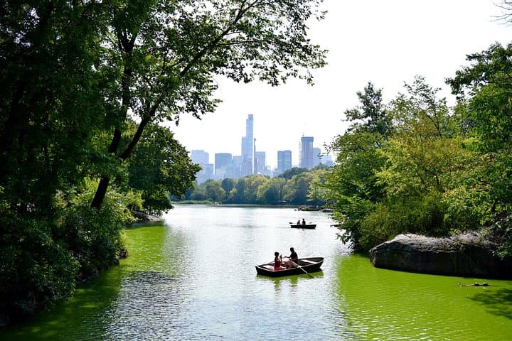 Central Park Private Photo & Video Experience — 3-Hour Iconic NYC Photo Tour photo 2
