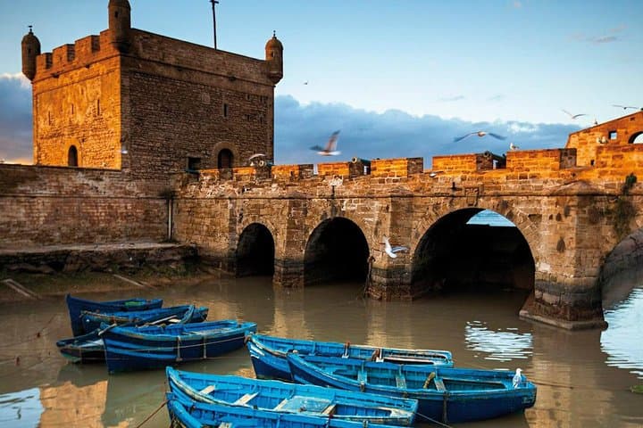 Full-Day Essaouira Excursion from Agadir — Medina, Ramparts & Argan Forest