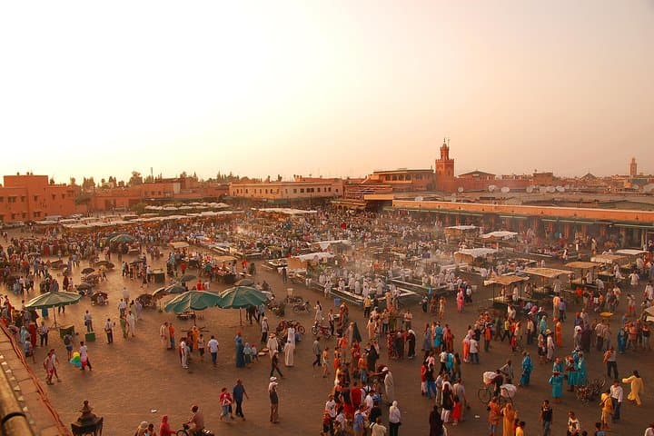 Marrakech Shore Excursion from Agadir: Full-Day Atlas & Medina Highlights