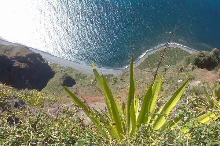 Madeira West: Private Waterfalls and Fanal Forest Day Tour photo 3