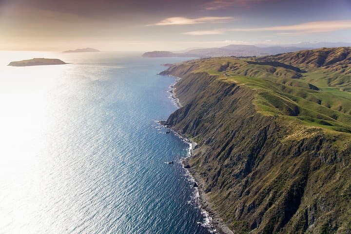 Wellington South Coast Discovery Helicopter Flight — Scenic Coastal Aerial Tour photo 2