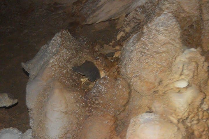 Nohoch Che'en Cave Kayak & Swim: Private Cave Exploration in Belize photo 5