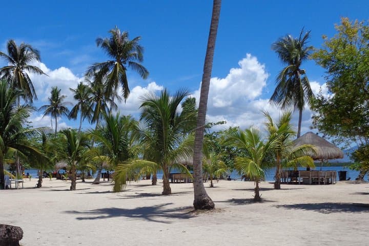Honda Bay Island Hopping from Puerto Princesa: Day Trip to Cowrie, Luli & Starfish photo 3