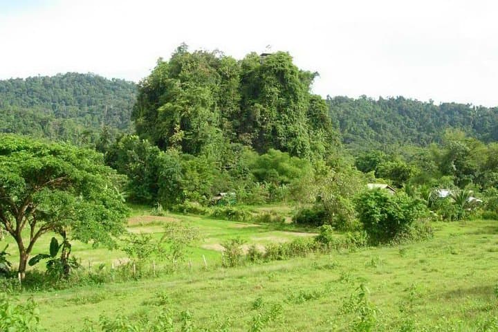 Puerto Princesa Underground River, Ugong Rock Caving & Zipline Day Trip photo 3