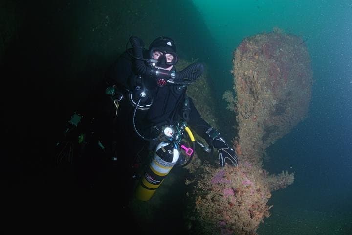 Wreck Weekend Dive Tour in Bay of Islands — Rainbow Warrior, HMNZS Canterbury & More photo 2