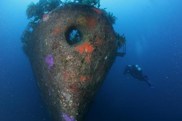 Wreck Weekend Dive Tour in Bay of Islands — Rainbow Warrior, HMNZS Canterbury & More