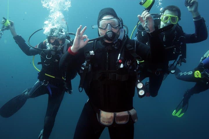 SSI Advanced Adventurer Course: 5 Specialty Dives in Auckland’s Hauraki Gulf photo 2