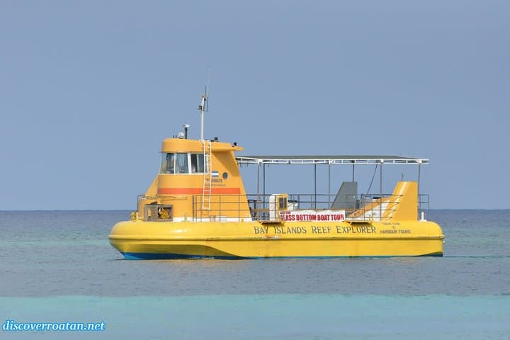 Glass-Bottom Boat Tour and West Bay Beach — Roatán Reef Cruise & Beach Time photo 2