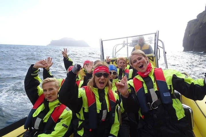 Vestmannaeyjar RIB Boat Tour — 1-Hour Sightseeing to Elephant Rock, Sea Caves & Puffins