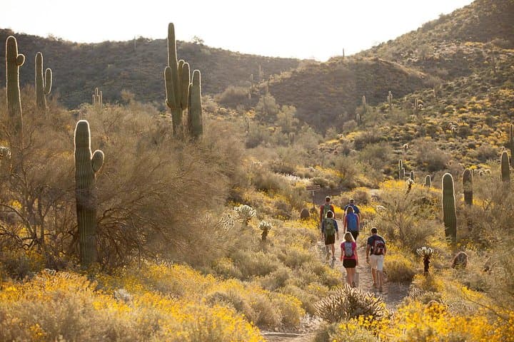 Half-Day Sonoran Desert Guided Hike in Scottsdale's McDowell Preserve photo 5