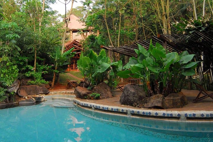 Iguazu Rainforest Escape: 2-Night Yacutinga Lodge Eco-Experience