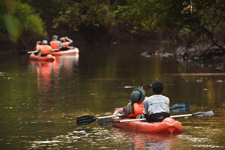 Iguazu Rainforest Escape: 2-Night Yacutinga Lodge Eco-Experience photo 2