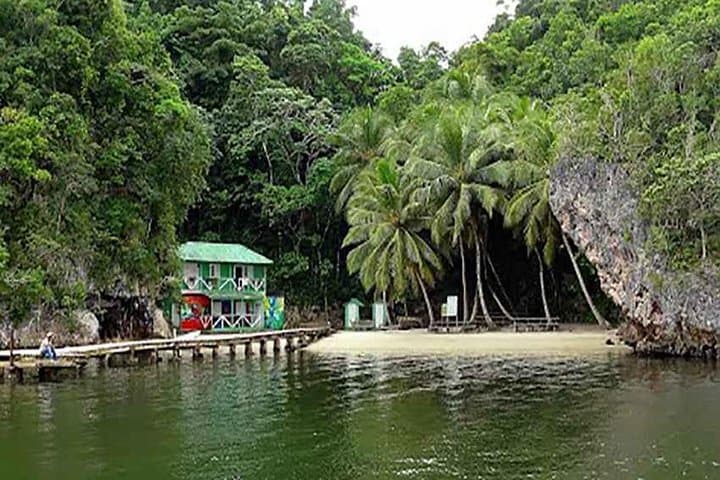 Los Haitises National Park Tour from Punta Cana — Mangroves, Caves & Local Lunch photo 2