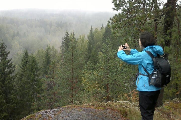 Half-Day Nuuksio National Park Hike from Helsinki — Lakes, Forests & Finnish Nature