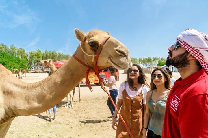 Half-Day Bahrain Desert Tour: Sakhir Circuit, Tree of Life & A'Ali Pottery