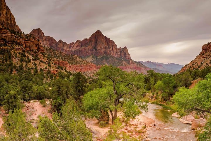 Exploring Zion National Park: A Full-Day Adventure from Las Vegas photo 3