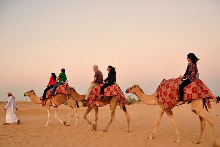 Morning Abu Dhabi Desert Safari: Dune Bashing, Camel Ride & Sandboarding photo 2